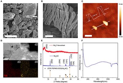 Near-Infrared Spatial Self-Phase Modulation in Ultrathin Niobium Carbide Nanosheets